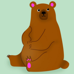 Bär
